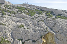 Les Calanques - by Charlotte